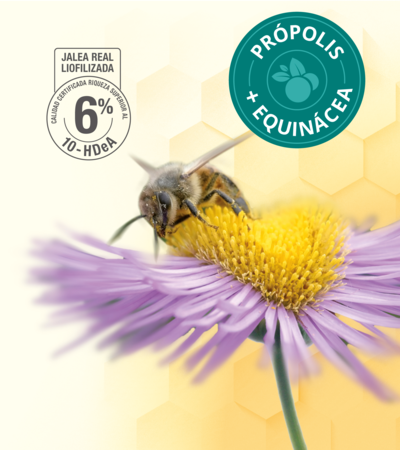 Suplemento Apoyo Inmunológico Santiveri Realfrial Jalea Real Própolis Equinácea Vitamina C Selenio 20 Viales